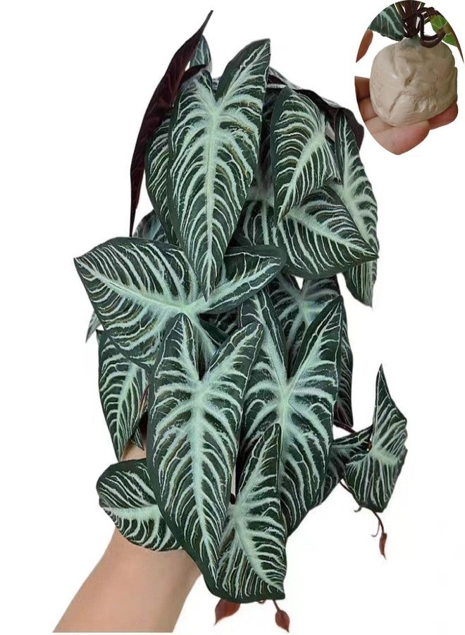 KERUIDENG Reptile Plants,Terrarium Decor,Amphibian Habitat Decor,Artificial Plants for Gecko Chameleon Snake Tortoise Tank Accessories with Base(Xanthosoma sagittifolium) - Image 1